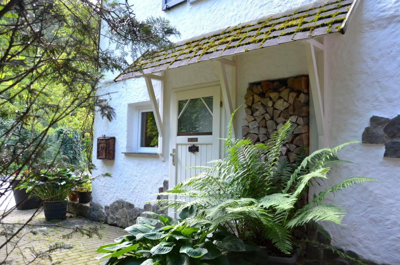 Birgits Landhaus Willingen Віллінген Екстер'єр фото