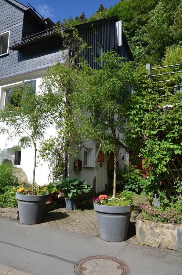 Birgits Landhaus Willingen Віллінген Екстер'єр фото
