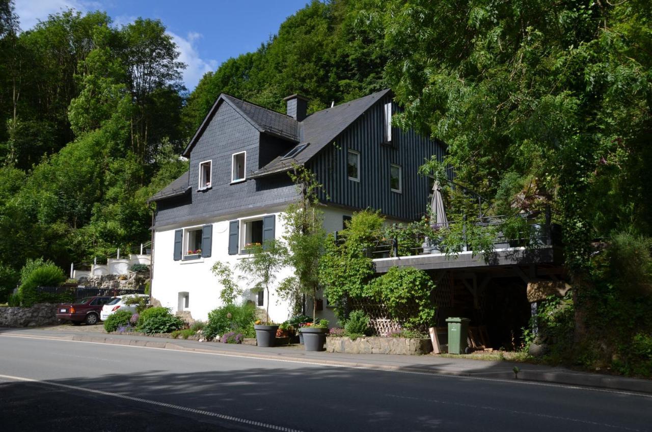 Birgits Landhaus Willingen Віллінген Екстер'єр фото
