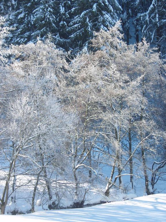 Birgits Landhaus Willingen Віллінген Екстер'єр фото